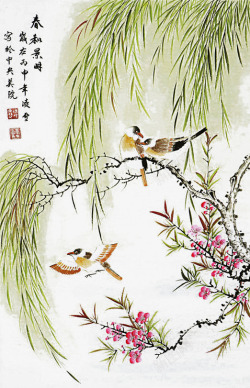 中国古风水墨柳树柳枝透明后期美化装饰设计279中国素材