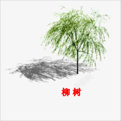 中国古风水墨柳树柳枝透明后期美化装饰设计136中国素材