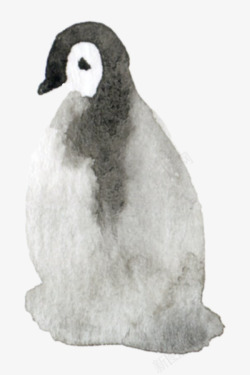 水彩卡通可爱手绘企鹅剪贴画图案手账设计PS18水彩素材