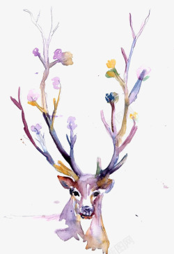 水彩手绘梦幻麋鹿小鹿免扣透明52水彩手绘梦幻麋鹿小素材