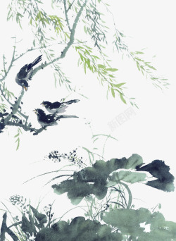 中国古风水墨柳树柳枝透明后期美化装饰设计104中国素材
