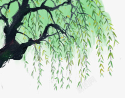 中国古风水墨柳树柳枝透明后期美化装饰设计342库素材
