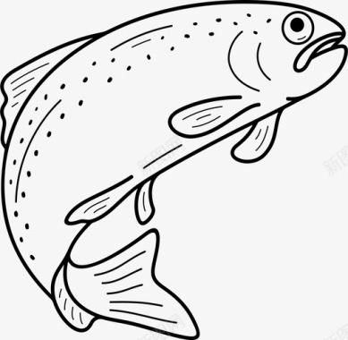 金鳟鱼加利福尼亚州鱼图标