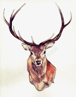 水彩手绘梦幻麋鹿小鹿免扣透明27水彩手绘梦幻麋鹿小素材
