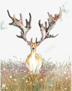 水彩手绘梦幻麋鹿小鹿免扣透明146水彩手绘梦幻麋鹿素材