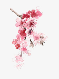 中国古风水墨花手绘水彩植物花卉装饰透明ps143中素材