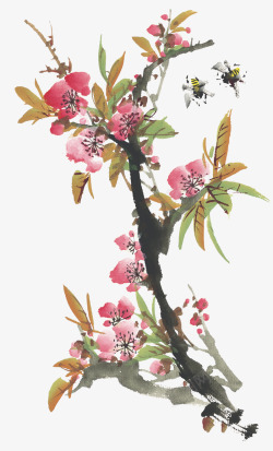 中国古风水墨花手绘水彩植物花卉装饰透明ps39中国素材