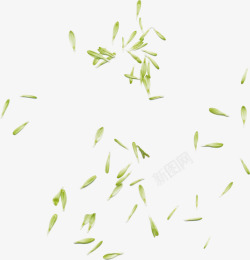 绿色嫩芽花瓣漂浮元素素材