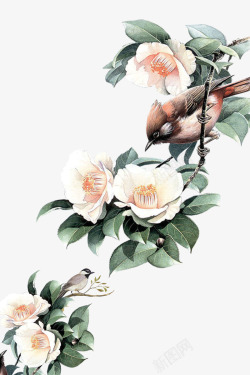 中国古风水墨花手绘水彩植物花卉装饰透明ps82中国素材