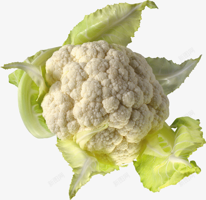 图天然蔬菜菜花8蔬菜水果蔬菜水果红萝卜png免抠素材_新图网 https://ixintu.com 天然 红萝卜 菜花 蔬菜 蔬菜水果