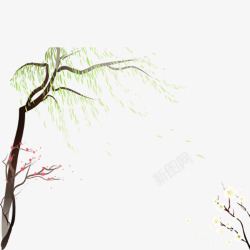 中国古风水墨柳树柳枝透明后期美化装饰设计331中国素材