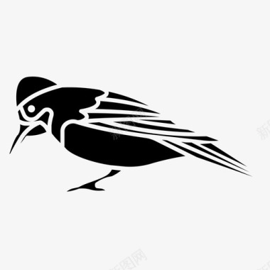 野生动物啄木鸟图标