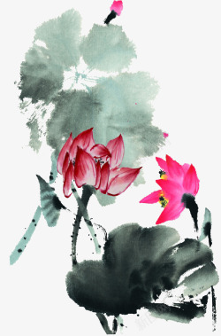 中国古风水墨花手绘水彩植物花卉装饰透明ps74中国素材