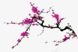 335中国古风水墨花手绘水彩植物花卉装饰透明ps335中高清图片
