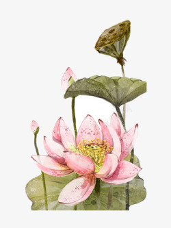 中国古风水墨花手绘水彩植物花卉装饰透明ps413手素材