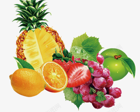 葡萄提子菠萝薄荷叶橙子柠檬水果食材蔬菜水果图标