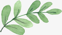 手绘彩绘植物绿叶花朵北坤人S化妆品饰品高素材