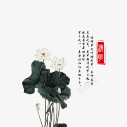 中国古风水墨花手绘水彩植物花卉装饰透明ps166中素材