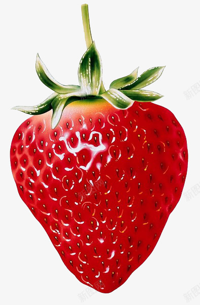 透明果蔬水果蔬菜草莓8蔬菜水果蔬菜水果png免抠素材_新图网 https://ixintu.com 果蔬 水果 草莓 蔬菜 蔬菜水果 透明