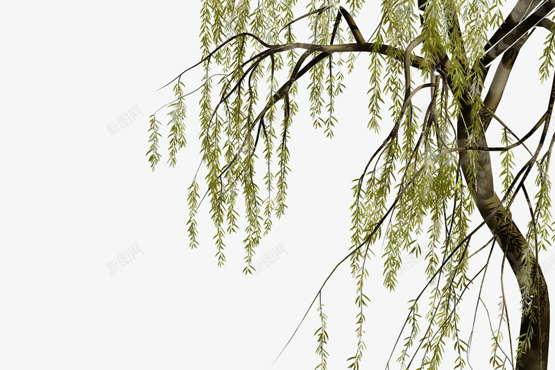 中国古风水墨柳树柳枝透明后期美化装饰设计86中国古png免抠素材_新图网 https://ixintu.com 中国 古风 水墨 柳树 柳枝 透明 后期 美化 装饰设计