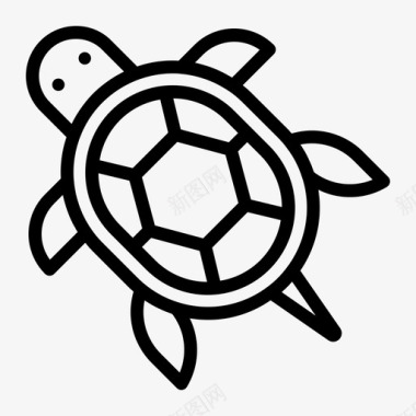乌龟动物宠物图标