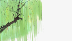 中国古风水墨柳树柳枝透明后期美化装饰设计284中国素材