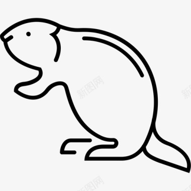 海狸动物加拿大图标