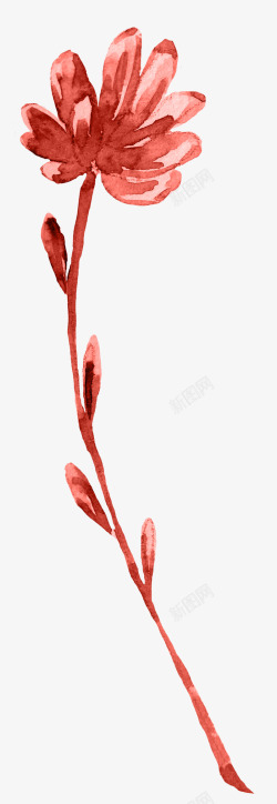 唯美红色珊瑚花卉婚礼请柬装饰模板图案手账22唯美红素材
