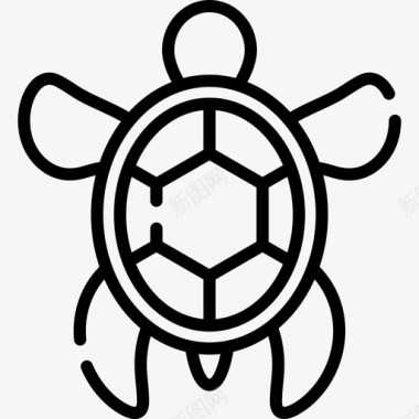 海龟自然162直系图标