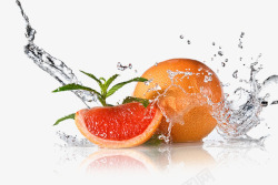 水果果蔬蔬菜水果免扣透明橙子橘子柚子画素材