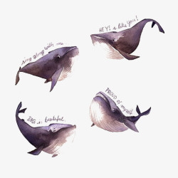 水彩手绘童话海洋鲸鱼卡通装饰PS透明高清70水彩手素材