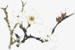 中国古风水墨花手绘水彩植物花卉装饰透明ps66中国素材