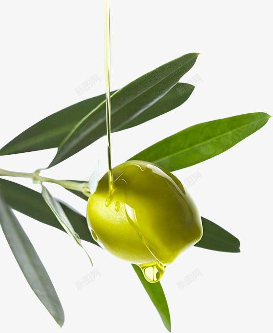 橄榄油3橄榄油png免抠素材_新图网 https://ixintu.com 橄榄油