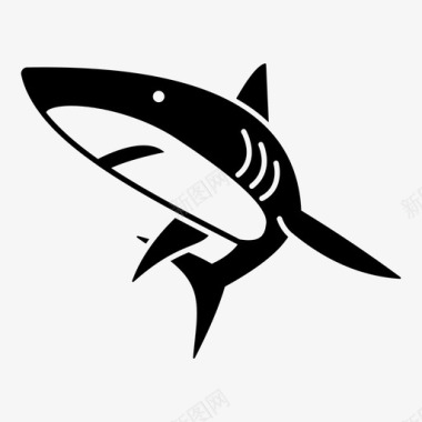 鲨鱼动物大白鲨图标