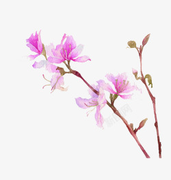 中国古风水墨花手绘水彩植物花卉装饰透明ps336中素材