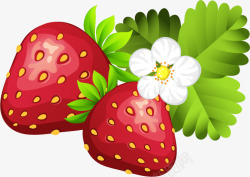蔬菜水果草莓蔬菜水果食物素材