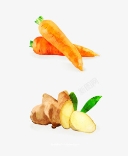 手绘水果蔬菜胡萝卜生姜涂设计素材