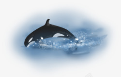 水彩手绘童话海洋鲸鱼卡通装饰PS透明高清98水彩手素材