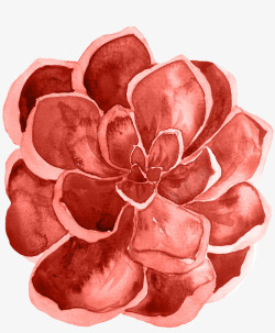 唯美红色珊瑚花卉婚礼请柬装饰模板图案手账20唯美红素材