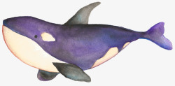 水彩手绘童话海洋鲸鱼卡通装饰PS透明高清3合成素材