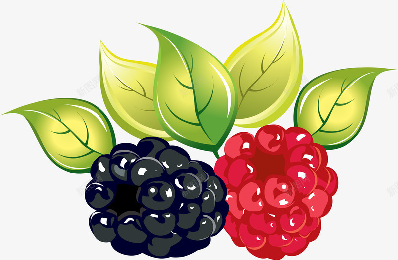 蔬菜水果树莓蔬菜水果食物png免抠素材_新图网 https://ixintu.com 蔬菜水果 树莓 食物