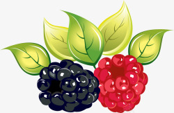 蔬菜水果树莓蔬菜水果食物素材