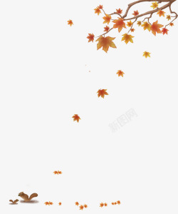 秋天落叶装饰壁纸装饰壁纸素材