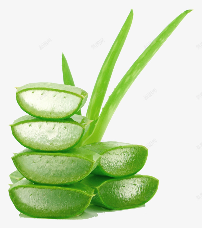 佑佑佑小溪图绿色植物化妆品食品芦荟芦荟胶绿色植物叶png免抠素材_新图网 https://ixintu.com 绿色植物 芦荟 佑佑 小溪 化妆品 食品