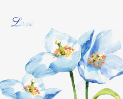 中国古风水墨花手绘水彩植物花卉装饰透明ps69中国素材