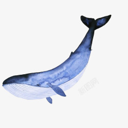 水彩手绘童话海洋鲸鱼卡通装饰PS透明高清59水彩手素材