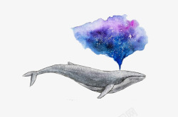 水彩手绘童话海洋鲸鱼卡通装饰PS透明高清113水彩素材
