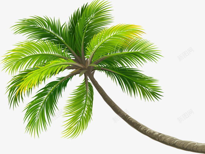 夏季海滩椰子树灬灬透明免扣透明合成情人节新年png免抠素材_新图网 https://ixintu.com 免扣 合成 夏季 情人节 新年 椰子树 海滩 透明