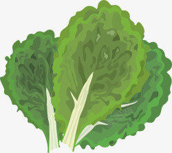 蔬菜图免扣绿植高清素材
