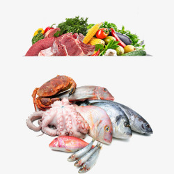 食材海鲜蔬菜肉日常小采集素材